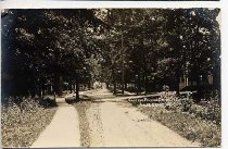 Postcard #113  East End Ravine Drive